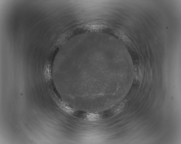 X0000072530718200607290224