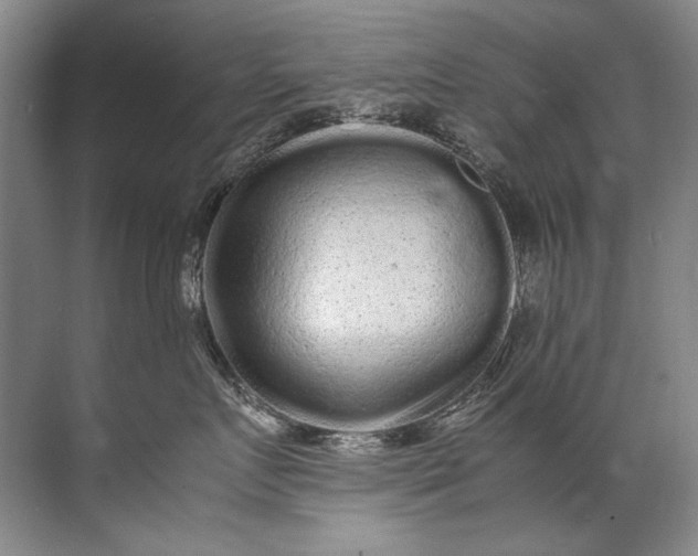 X0000072530719200607290224