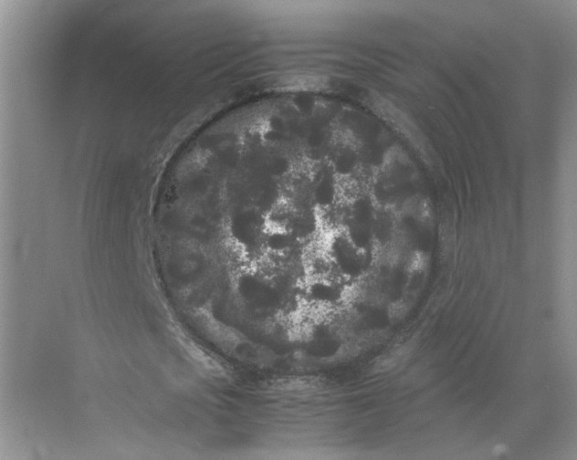 X0000072530721200607290223