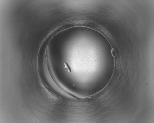 X0000072530722200607290223