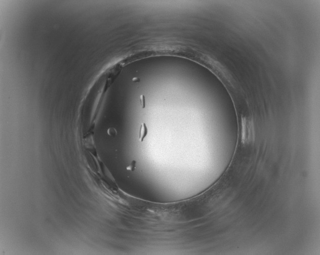 X0000072530723200607290223