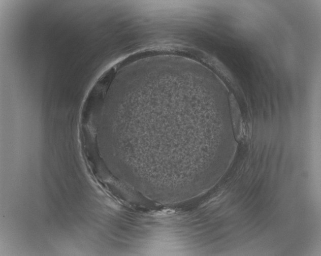 X0000072530724200607290223