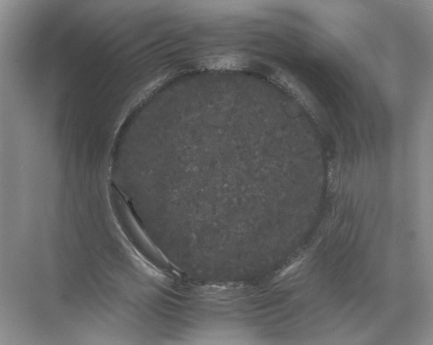 X0000072530725200607290223