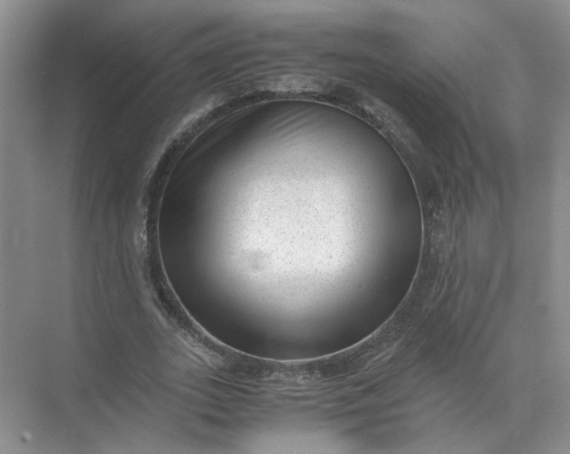 X0000072530727200607290223