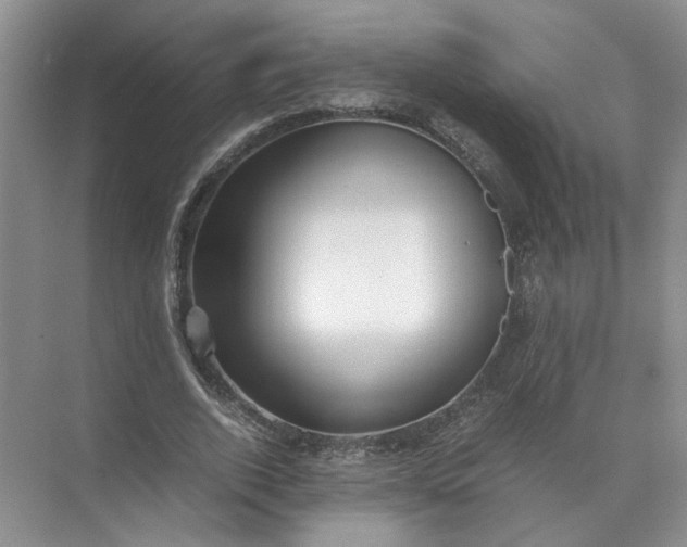 X0000072530728200607290223