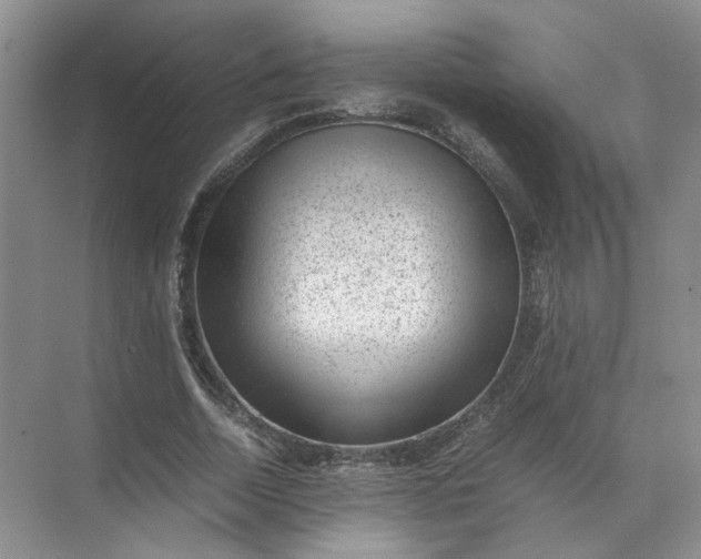 X0000072530730200607290223