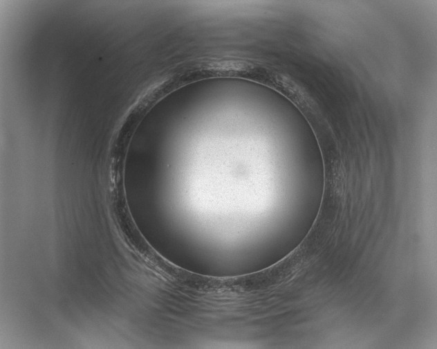 X0000072530731200607290223