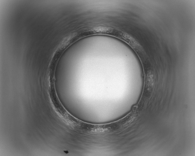 X0000072530734200607290223