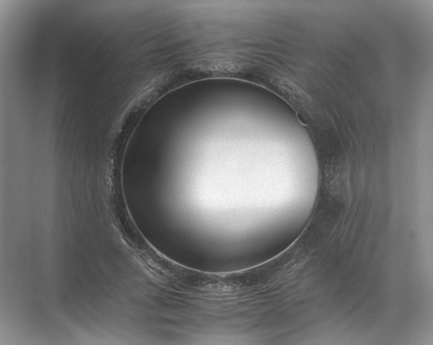 X0000072530735200607290224