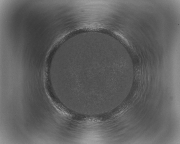 X0000072530736200607290224