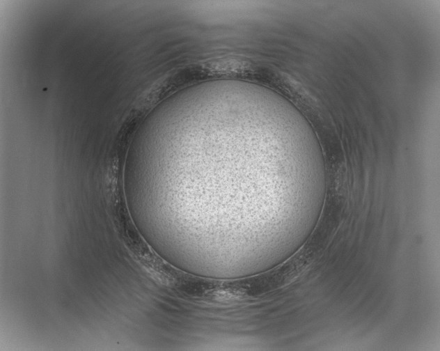 X0000072530737200607290224