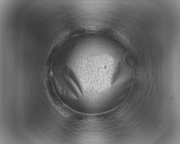 X0000072530738200607290224