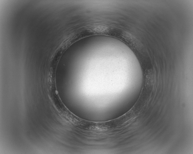 X0000072530739200607290224