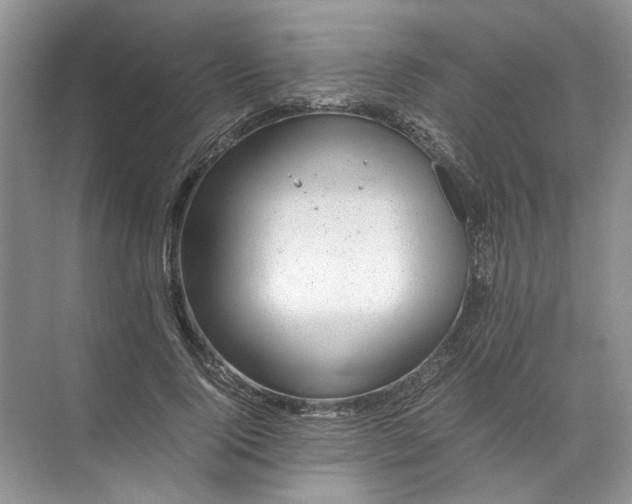 X0000072530740200607290224