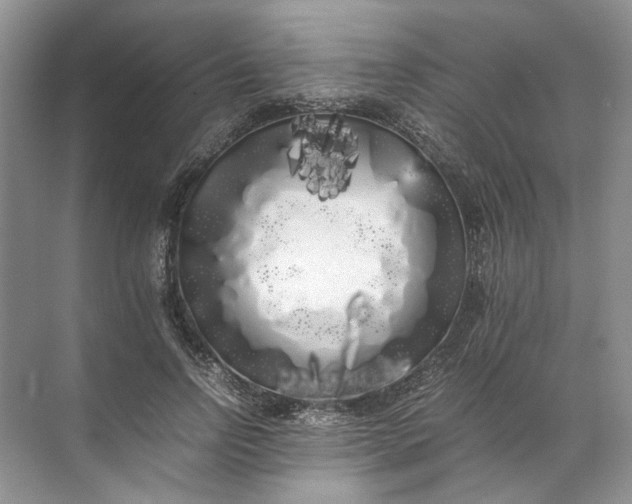 X0000072530742200607290224