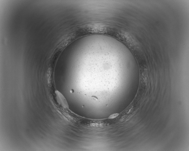 X0000072530744200607290224