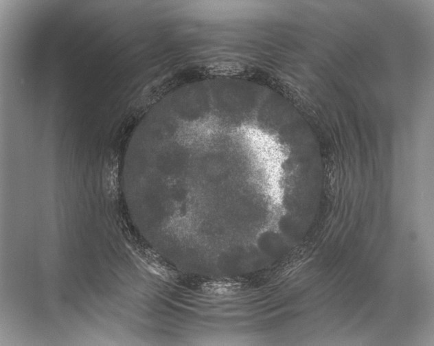 X0000072530745200607290224