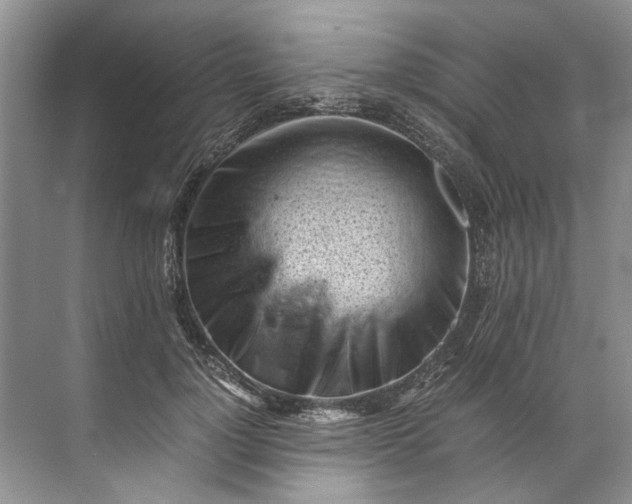 X0000072530748200607290224