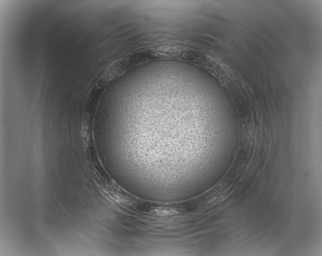 X0000072530749200607290224