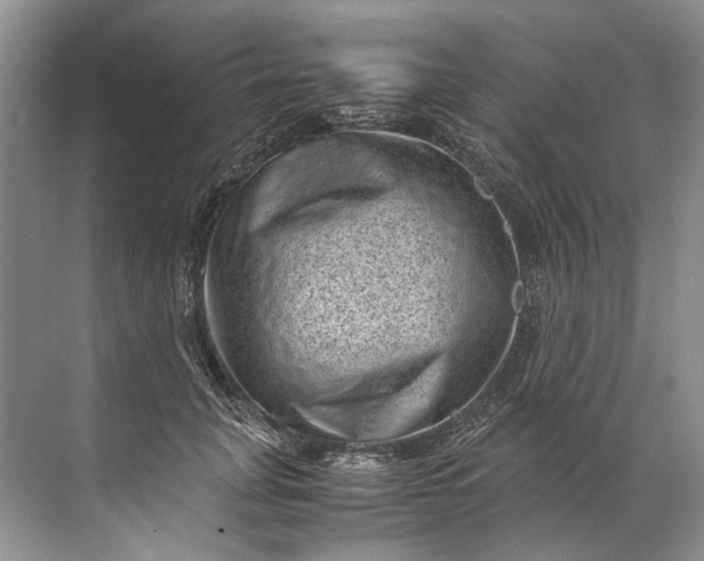 X0000072530751200607290224