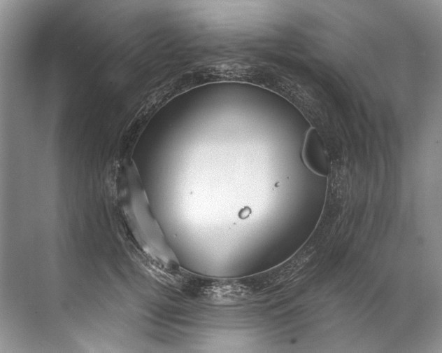 X0000072530752200607290224