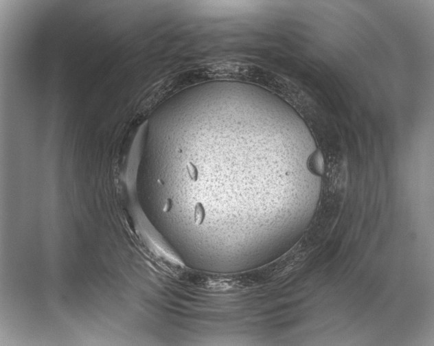 X0000072530753200607290224