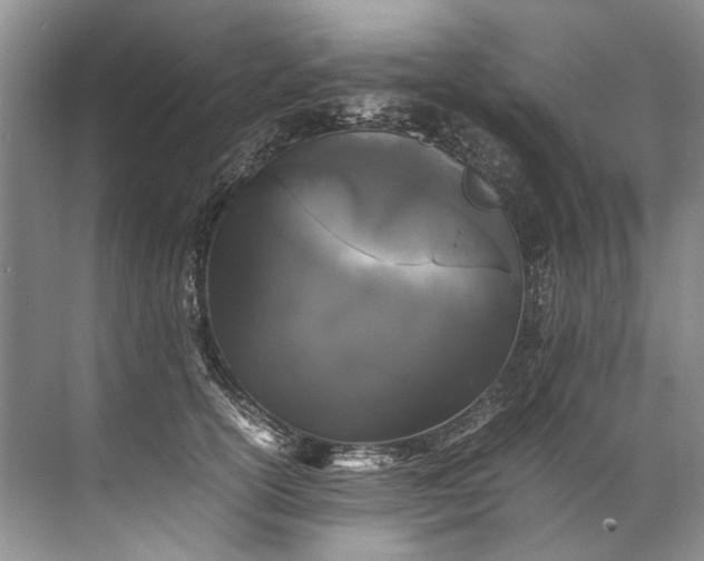 X0000072530754200607290224