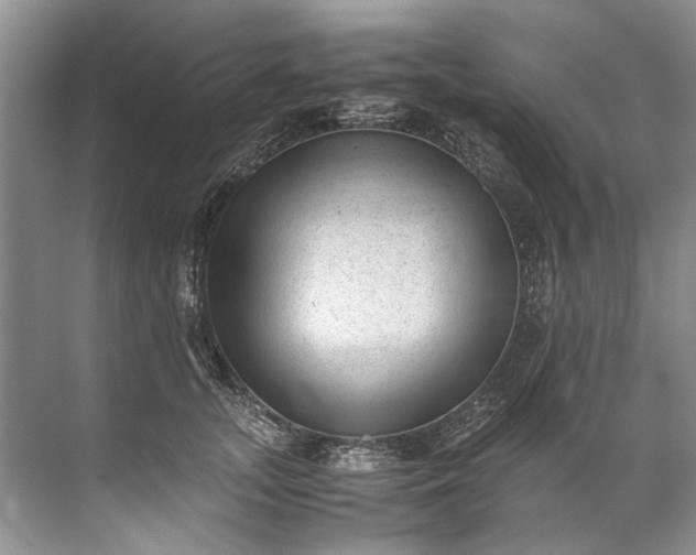 X0000072530755200607290224