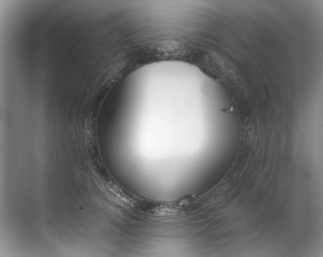 X0000072530756200607290224