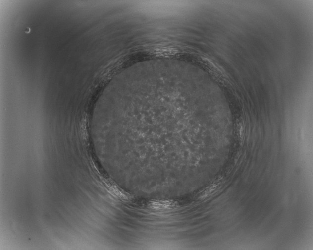 X0000072530757200607290224