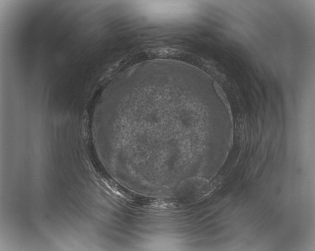 X0000072530760200607290224