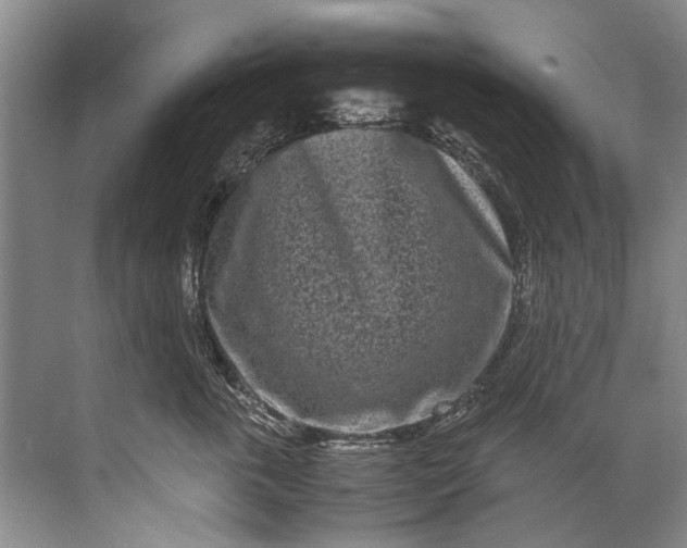 X0000072530763200607290224