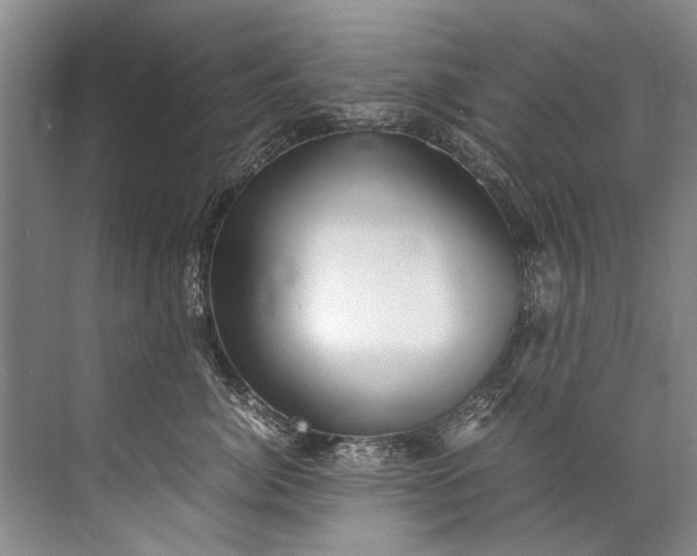 X0000072530764200607290224