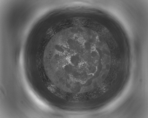 X0000072530765200607290224