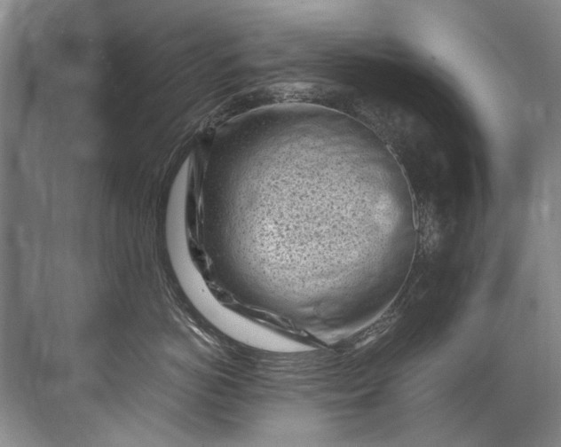 X0000072530766200607290224