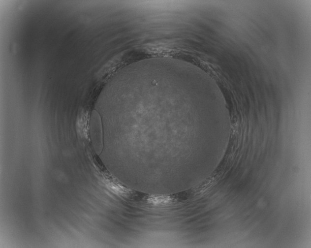 X0000072530767200607290224