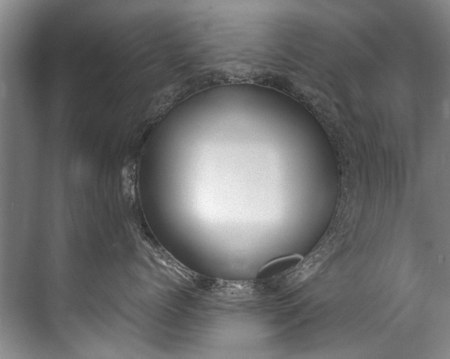 X0000072530768200607290224