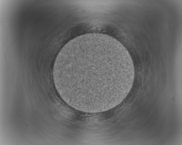 X0000072530769200607290223