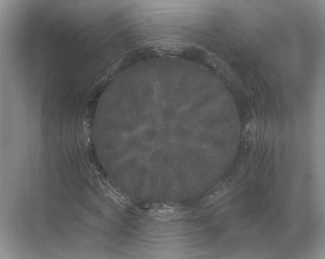 X0000072530772200607290223