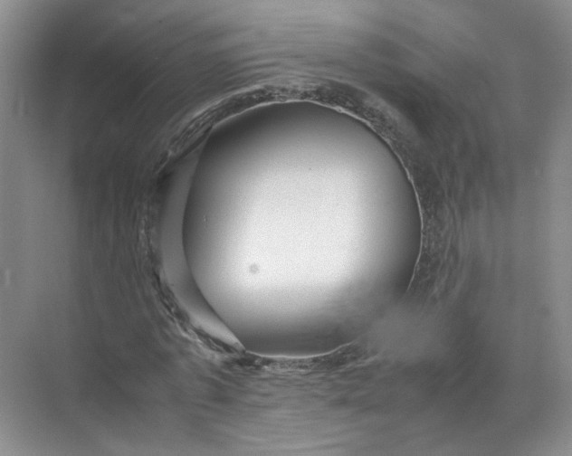 X0000072530773200607290223