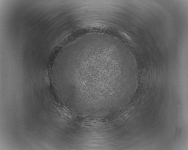 X0000072530774200607290223