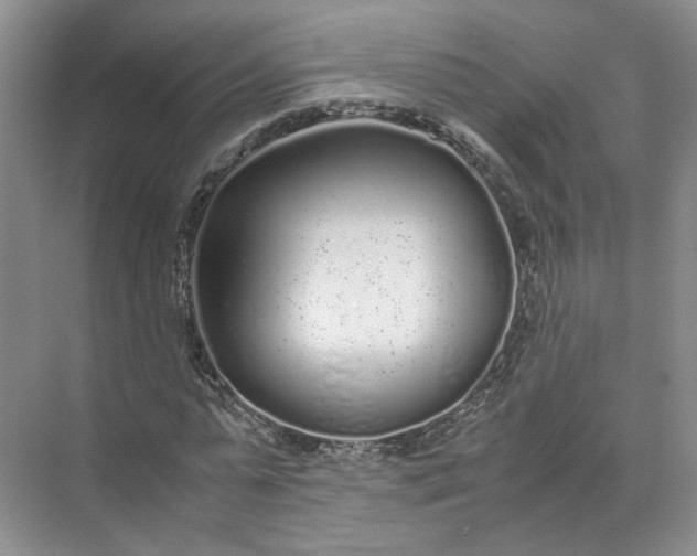 X0000072530775200607290223