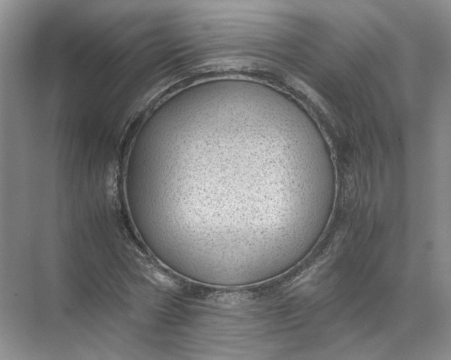 X0000072530778200607290223