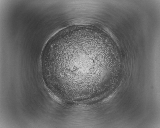 X0000072530779200607290223