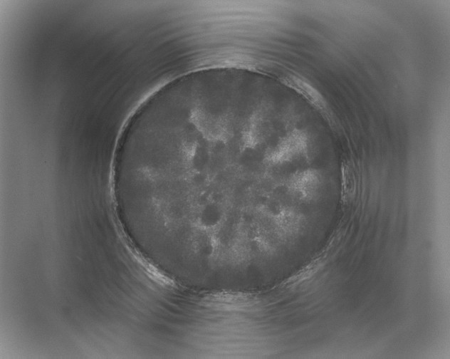 X0000072530780200607290223