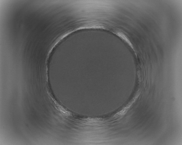 X0000072530781200607290223