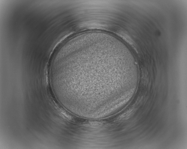 X0000072530782200607290223