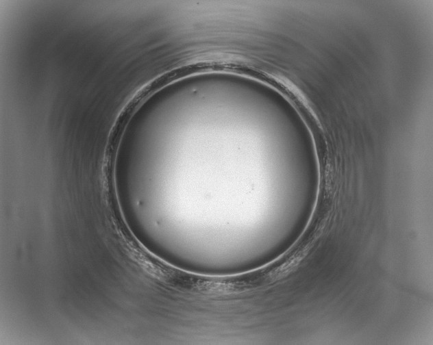 X0000072530783200607290223