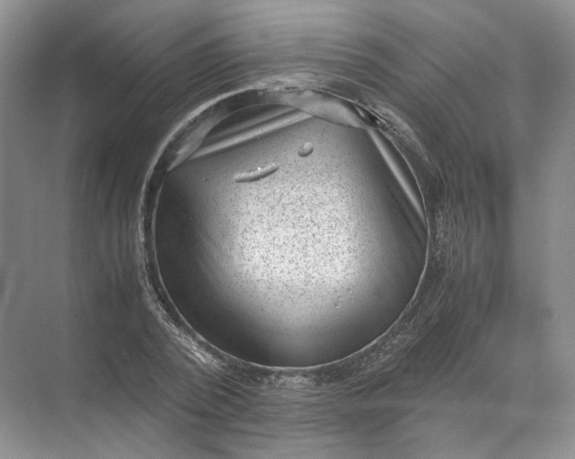 X0000072530784200607290223