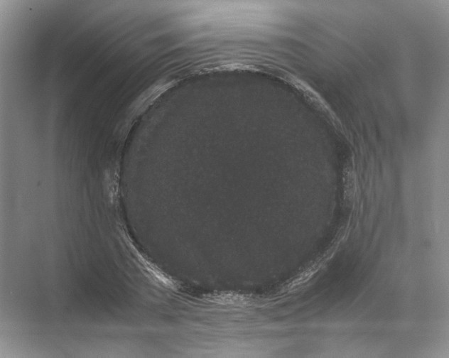 X0000072530785200607290223